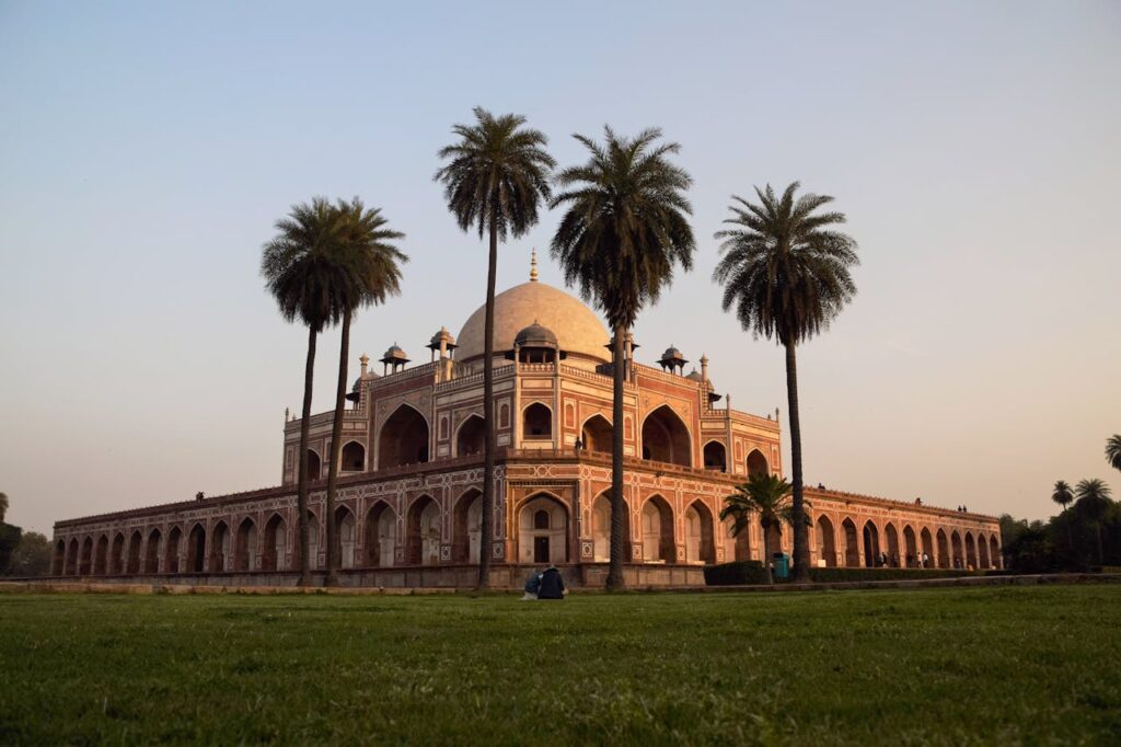 pexels-photo-21525917-21525917 pexels-photo-21525917-21525917.jpg